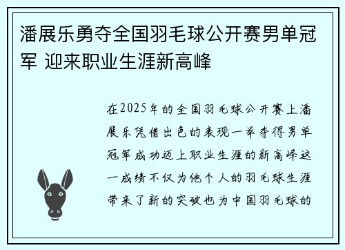 潘展乐勇夺全国羽毛球公开赛男单冠军 迎来职业生涯新高峰